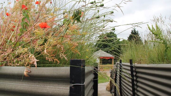 Header image for WW1 Trench Experience